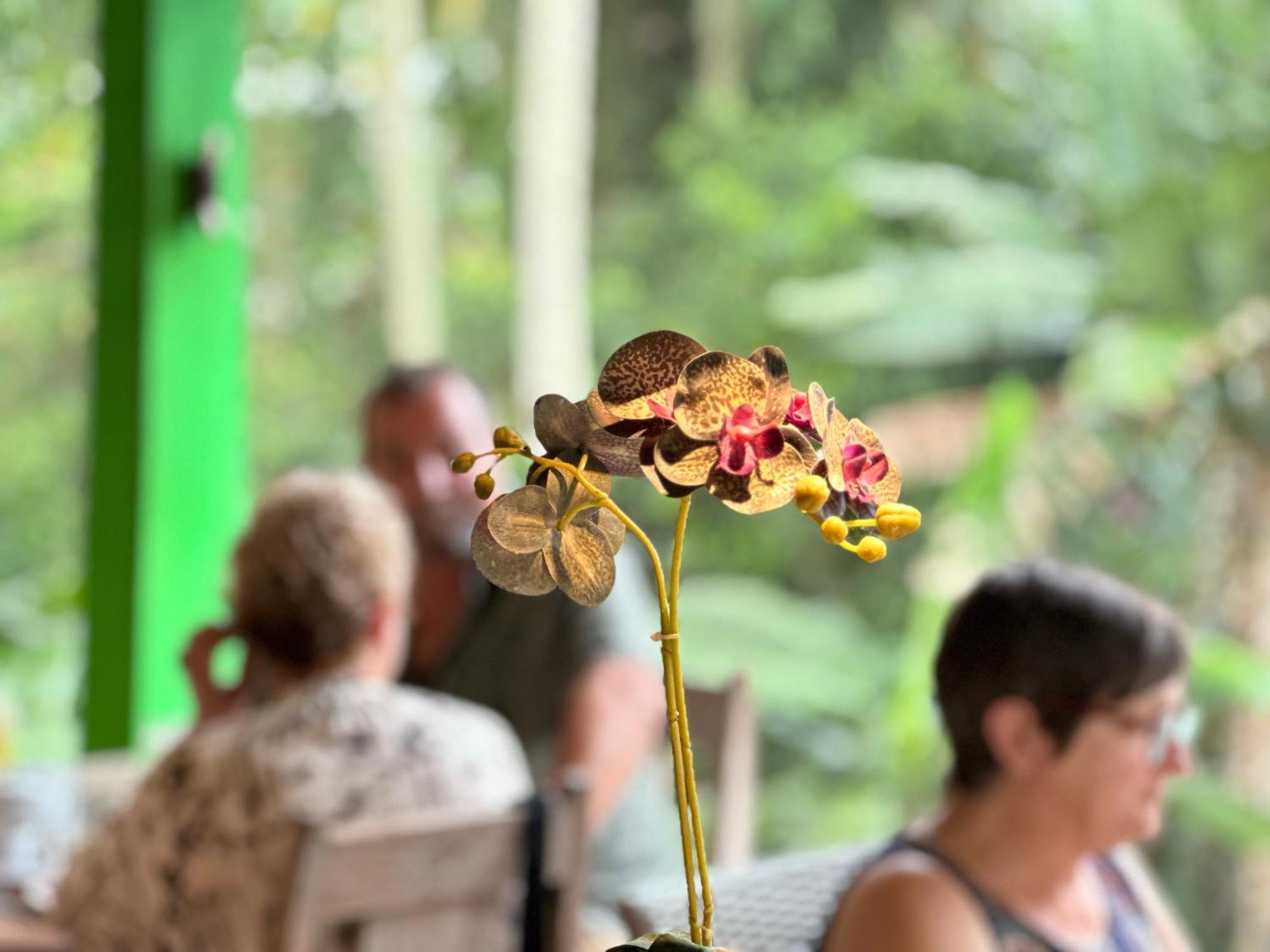 Dupa Ubud Luaran gambar