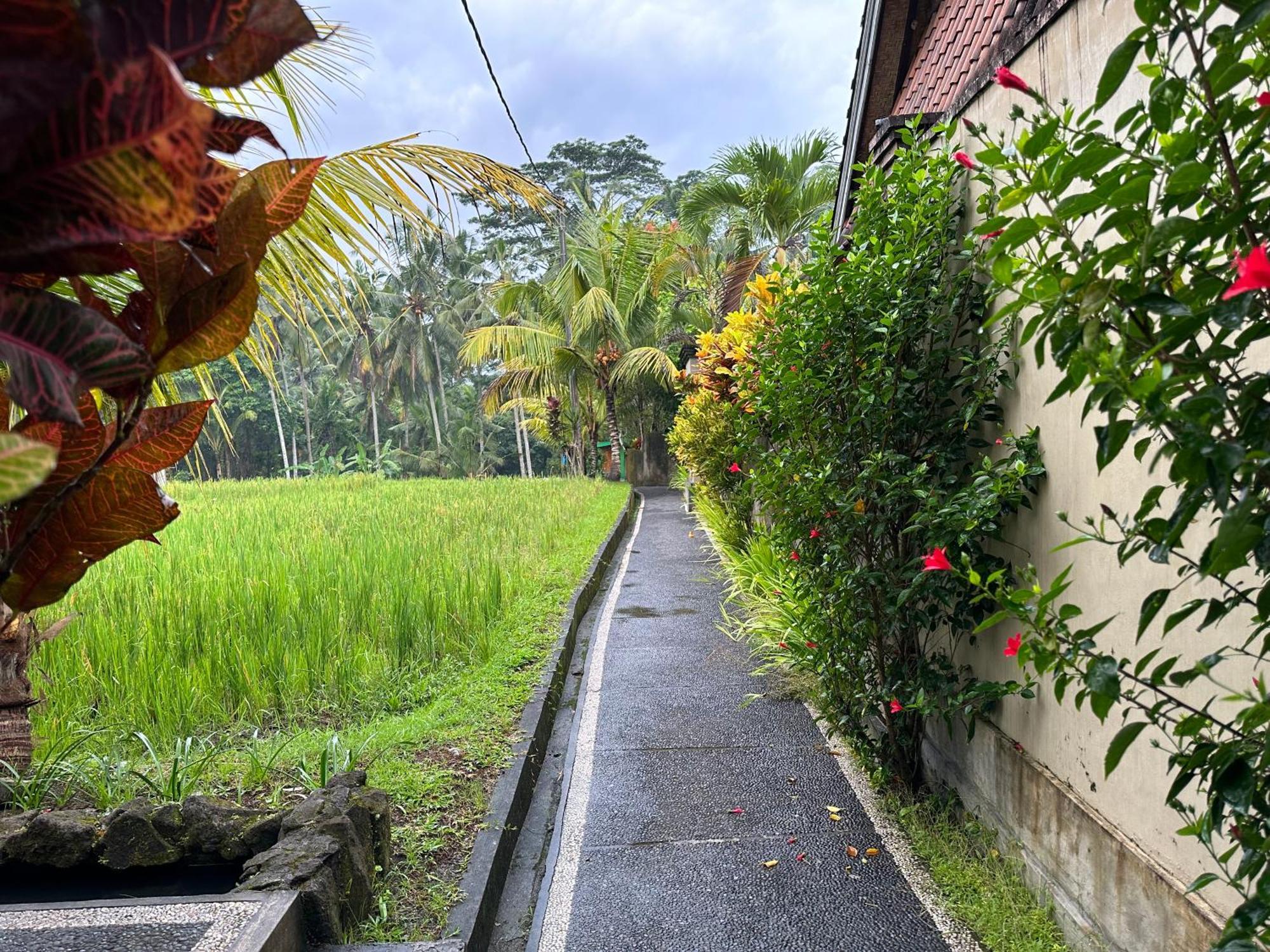 Dupa Ubud Luaran gambar