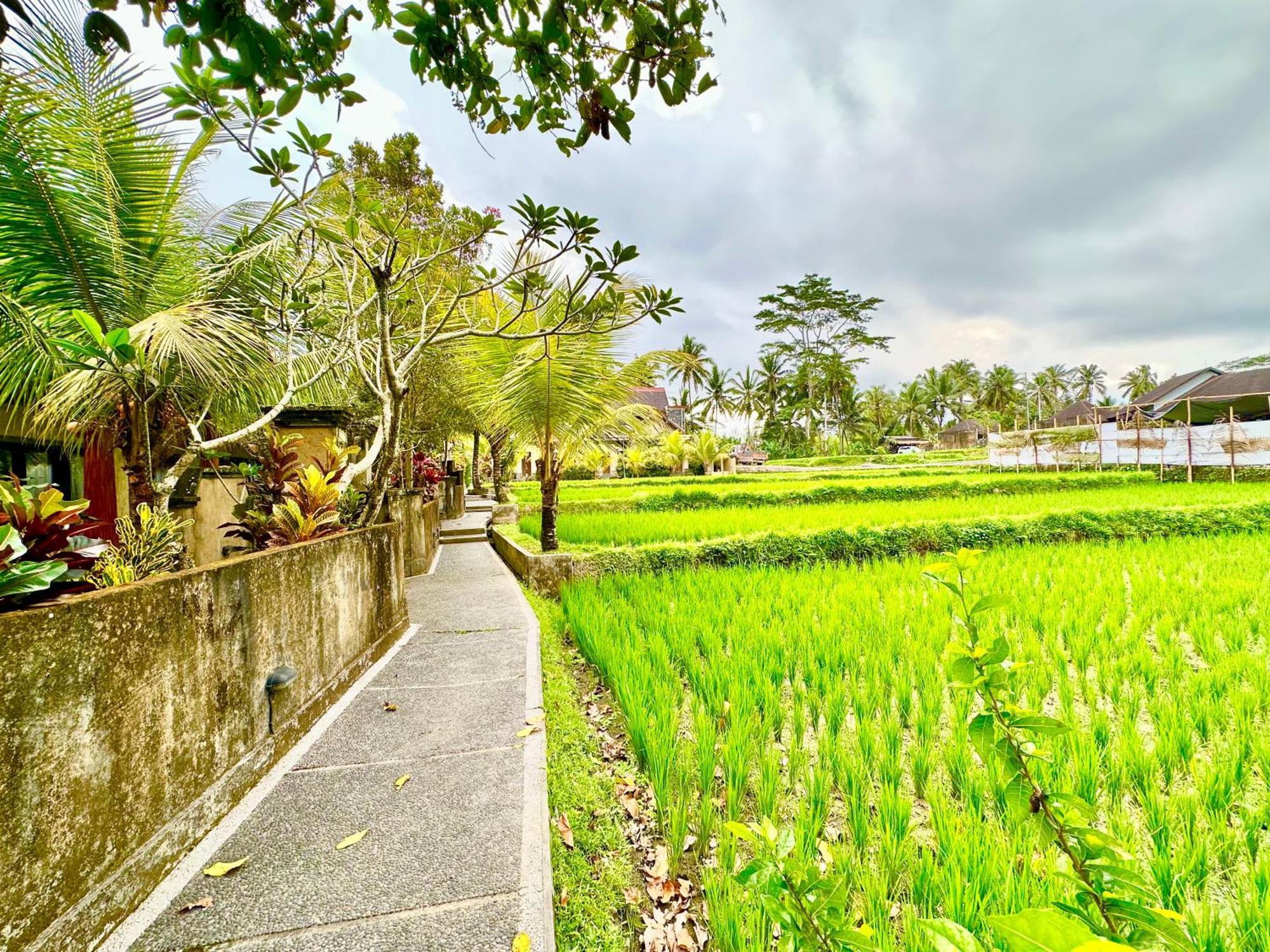 Dupa Ubud Luaran gambar