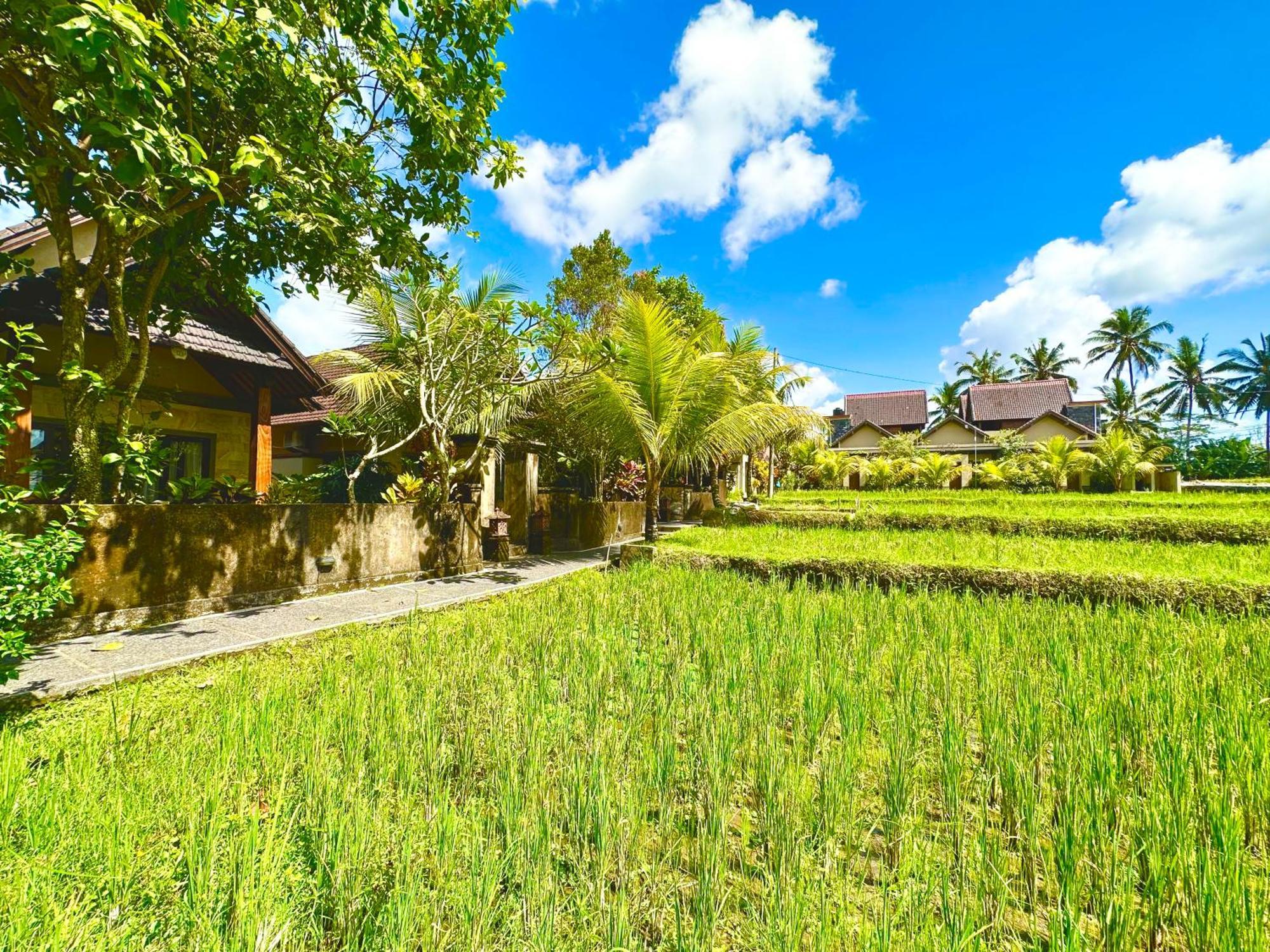 Dupa Ubud Luaran gambar