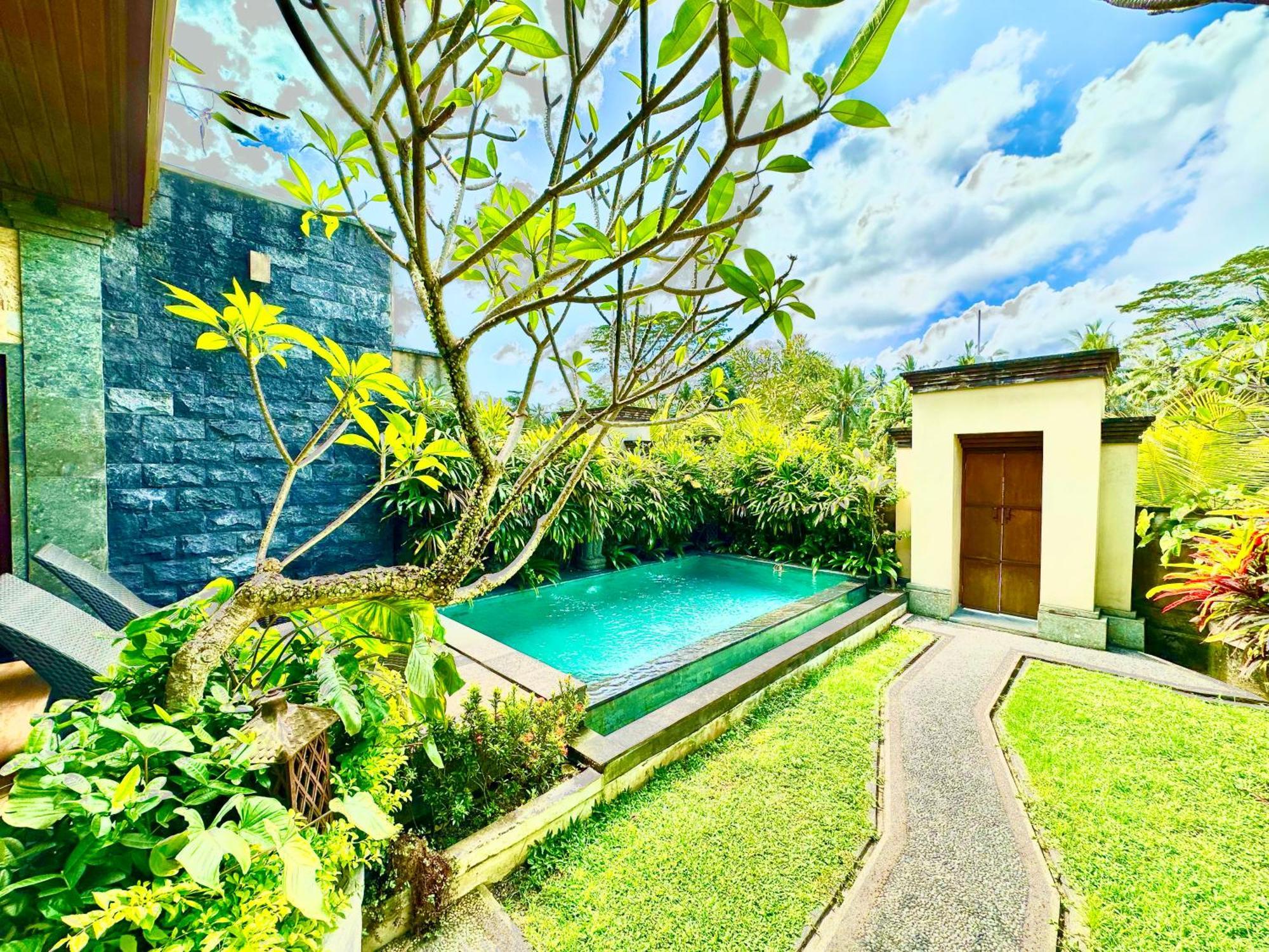 Dupa Ubud Luaran gambar