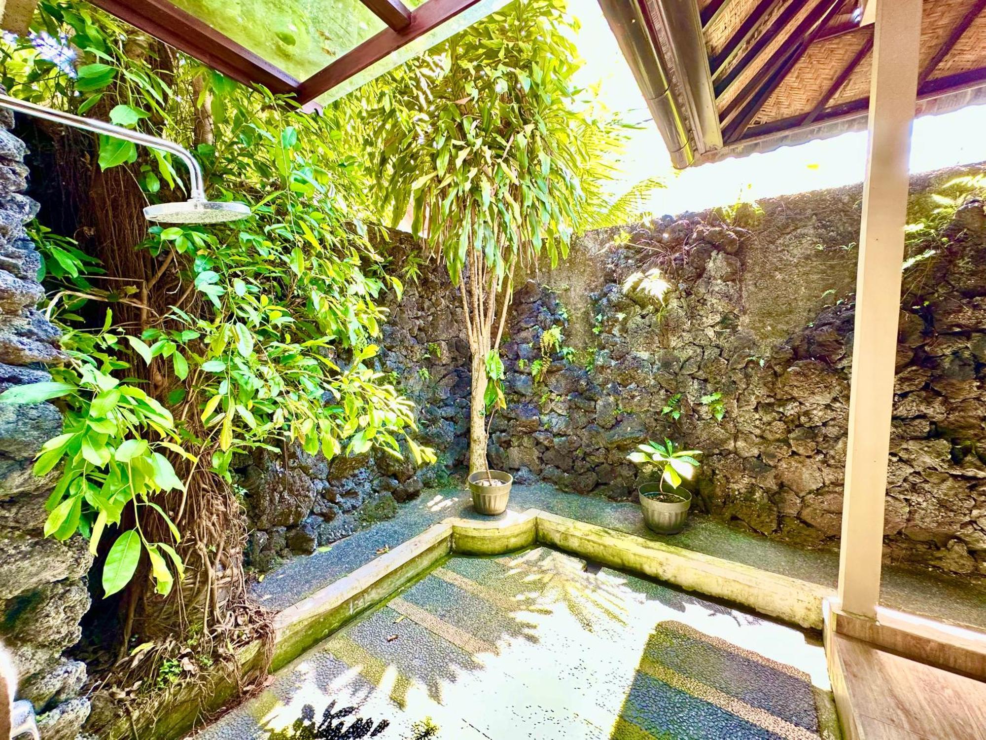 Dupa Ubud Luaran gambar